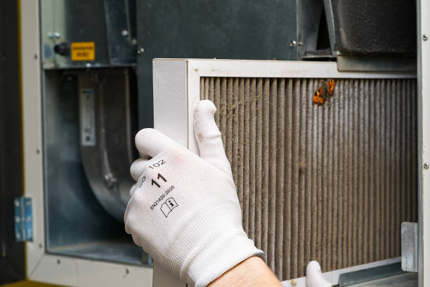 Best HVAC System Cleaning  in Dewitt, IA