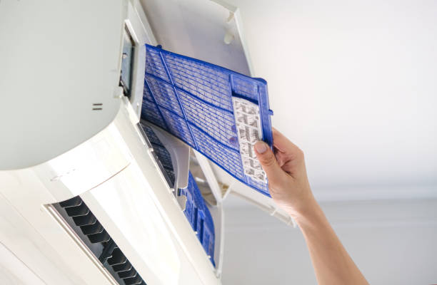 Best Air Duct Cleaning Near Me  in Dewitt, IA