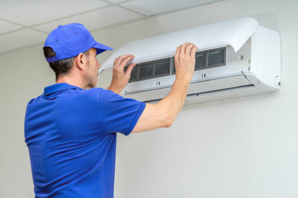 Best Professional Duct Cleaning Services  in Dewitt, IA