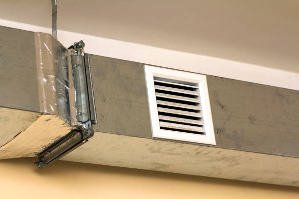 Best HVAC Duct Inspection Services  in Dewitt, IA